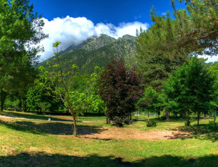 Le Soleil Corsica - Vivarium visuel 1/2