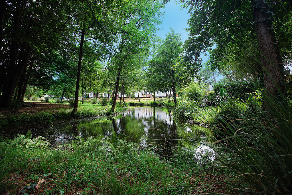 Le Soleil des Landes Aquitaine - Lit-et-Mixe visuel 9/16