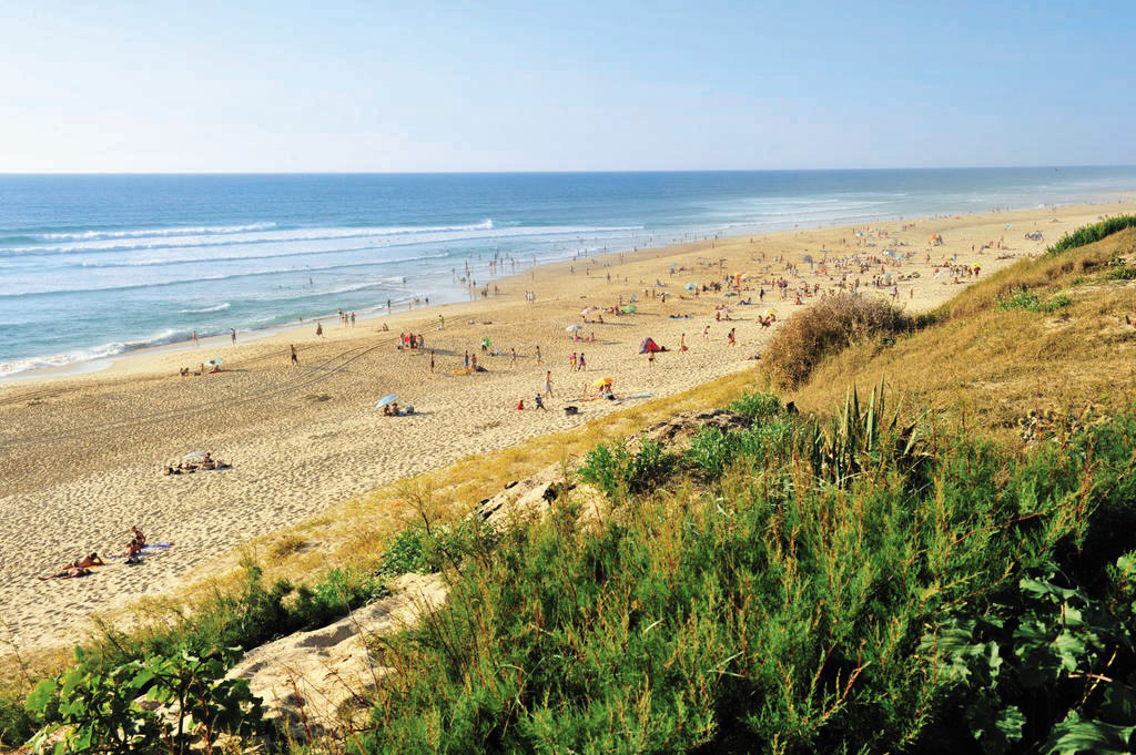 Le Soleil des Landes Aquitaine - Lit-et-Mixe visuel 15/16