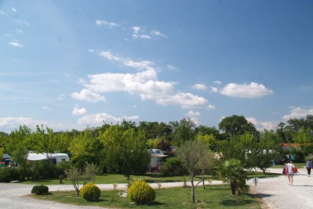 Le Soleil Fruité Rhône-Alpes - Châteauneuf sur Isère visuel 7/10 Le Soleil Fruité Rhône-Alpes - Châteauneuf sur Isère visuel 7/10