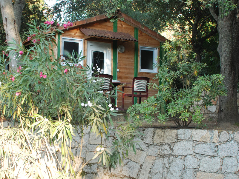 Lecci e Murta Corsica - Belvedere-Campomoro visuel 3/7 Lecci e Murta Corsica - Belvedere-Campomoro visuel 3/7