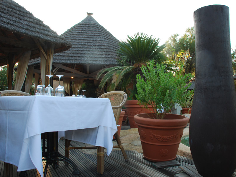 Lecci e Murta Corsica - Belvedere-Campomoro visuel 4/7 Lecci e Murta Corsica - Belvedere-Campomoro visuel 4/7