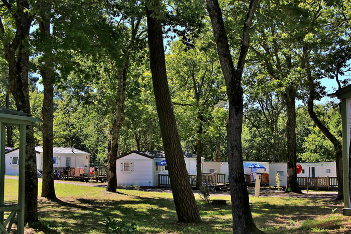 L'Ecureuil Poitou-Charentes - Sint-Augustinus visuel 11/11 L'Ecureuil Poitou-Charentes - Sint-Augustinus visuel 11/11