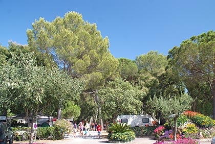 Leï Suves Provence-Alpes-Côte d'Azur - Roquebrune-sur Argens visuel 6/10 Leï Suves Provence-Alpes-Côte d'Azur - Roquebrune-sur Argens visuel 6/10