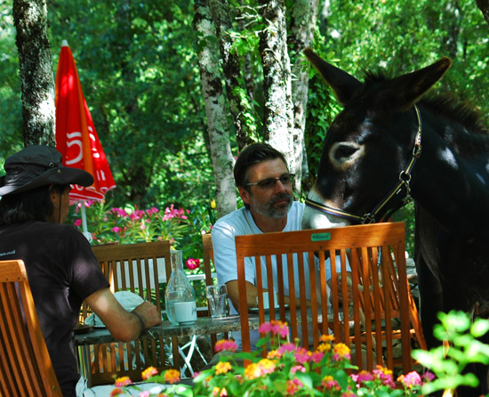 LES TROIS CANTONS Midi-Pyreneën - Saint-Antonin-Noble-Val visuel 10/10 LES TROIS CANTONS Midi-Pyreneën - Saint-Antonin-Noble-Val visuel 10/10