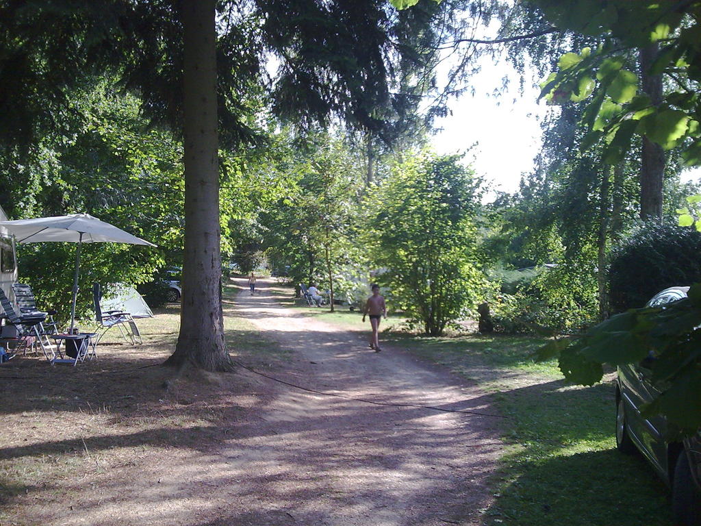 Les Araucarias Picardië - Carlepont visuel 1/1 Les Araucarias Picardië - Carlepont visuel 1/1