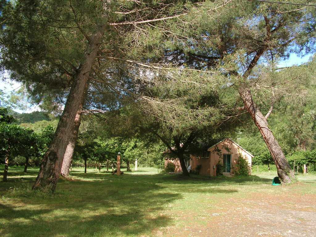 Les Cascades Corsica - Pruno visuel 1/2 Les Cascades Corsica - Pruno visuel 1/2