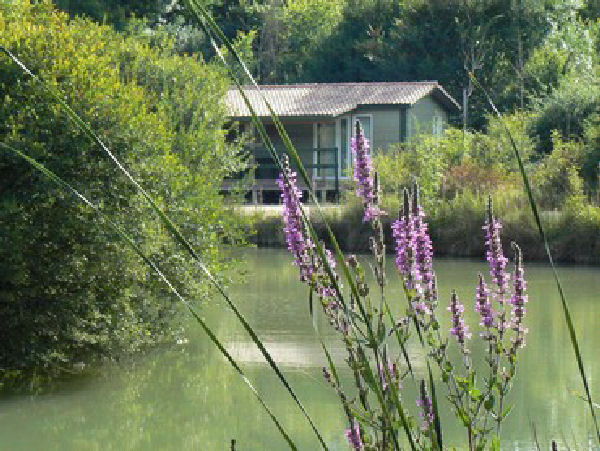 Les Chalets de la Héronnière Poitou-Charentes - Chef-Boutonne visuel 1/10 Les Chalets de la Héronnière Poitou-Charentes - Chef-Boutonne visuel 1/10