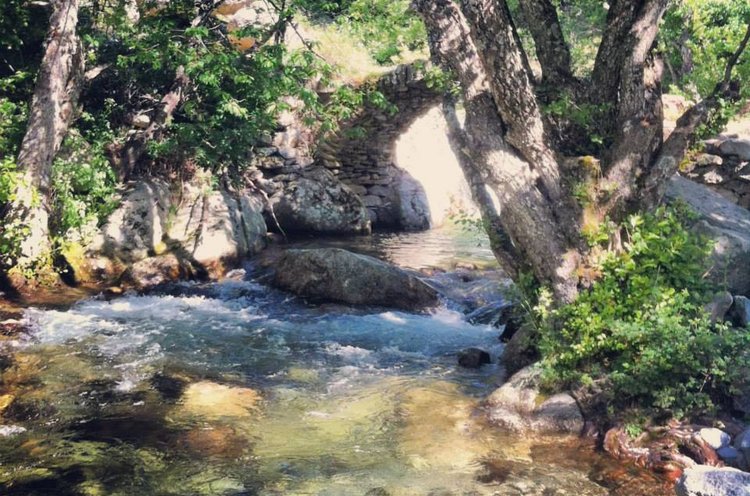 Les Chalets de Lozzi Corsica - Lozzi visuel 3/6