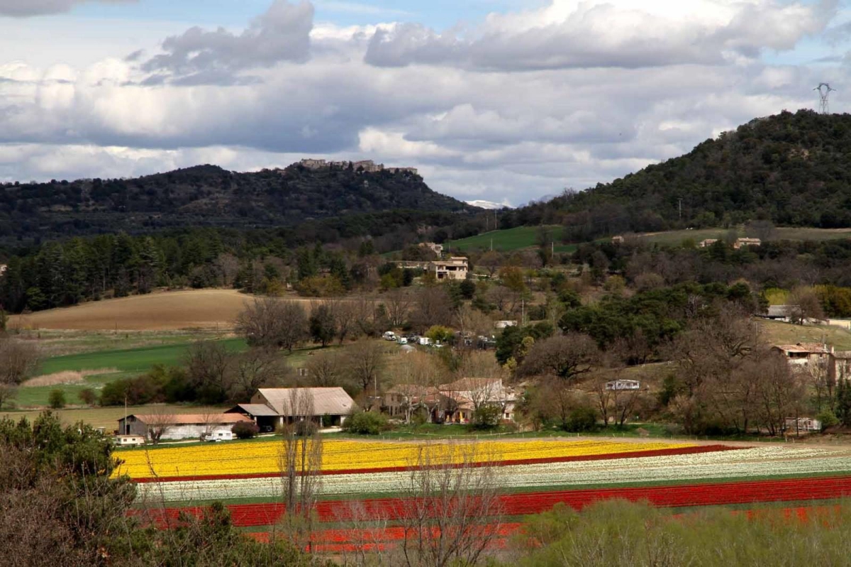 Les Coccinelles Provence-Alpes-Côte d'Azur - Lurs visuel 1/4 Les Coccinelles Provence-Alpes-Côte d'Azur - Lurs visuel 1/4