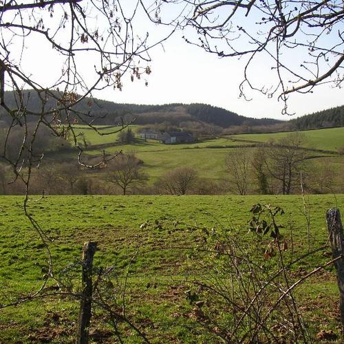 Les Genets Bourgogne - Ouroux-en-Morvan visuel 3/3 Les Genets Bourgogne - Ouroux-en-Morvan visuel 3/3