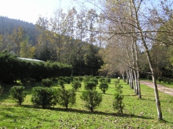 Les Granges Bas Lotharingen - Gérardmer visuel 3/8 Les Granges Bas Lotharingen - Gérardmer visuel 3/8