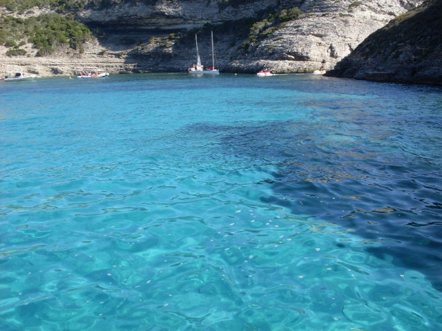 Les Ilots D'or Corsica - Porto-Vecchio visuel 1/1 Les Ilots D'or Corsica - Porto-Vecchio visuel 1/1