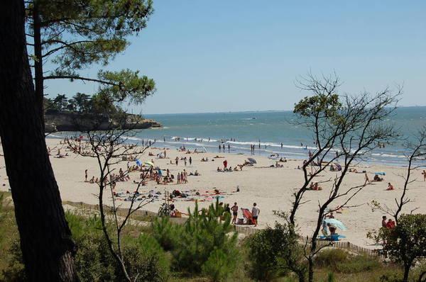 LES LOGES Poitou-Charentes - Meschers-sur-Gironde visuel 4/5 LES LOGES Poitou-Charentes - Meschers-sur-Gironde visuel 4/5