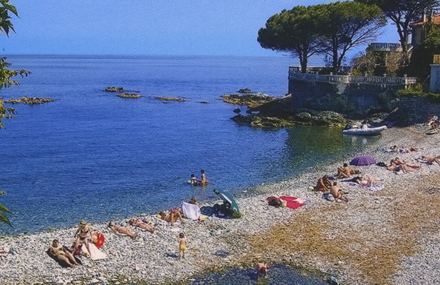 Les Orangers Corsica - MIOMO visuel 1/1