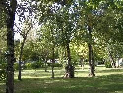 Les Peupliers Aquitaine - Vendays-Montalivet visuel 9/10 Les Peupliers Aquitaine - Vendays-Montalivet visuel 9/10