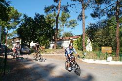 Les Pins de la Coubre Poitou-Charentes - Les Mathes-La Palmyre visuel 2/4 Les Pins de la Coubre Poitou-Charentes - Les Mathes-La Palmyre visuel 2/4