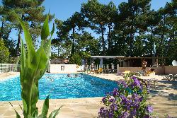 Les Pins de la Coubre Poitou-Charentes - Les Mathes-La Palmyre visuel 1/4 Les Pins de la Coubre Poitou-Charentes - Les Mathes-La Palmyre visuel 1/4