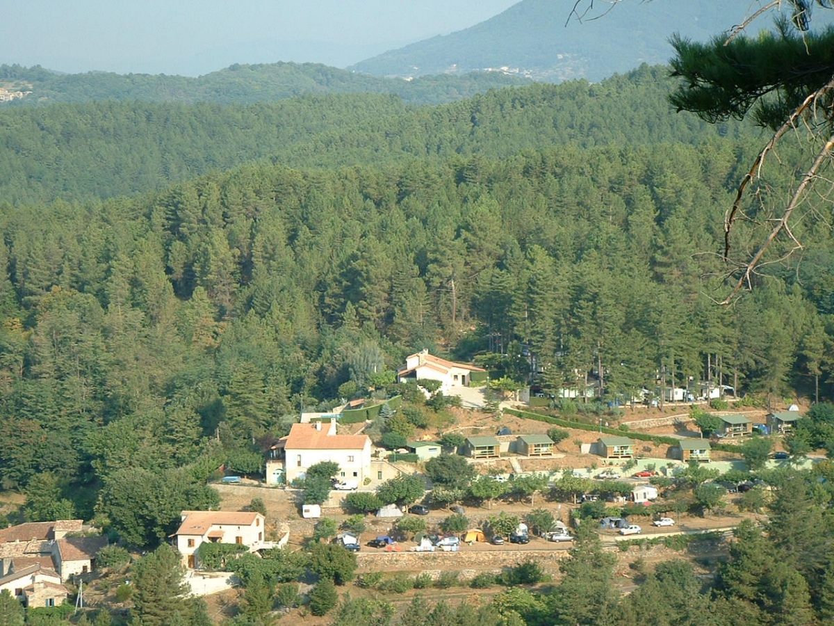 LES PINS Rhône-Alpes - Ucel visuel 2/6 LES PINS Rhône-Alpes - Ucel visuel 2/6