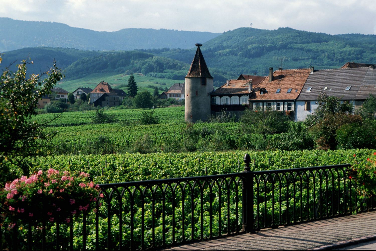 Les Portes d'Alsace Elzas - Saverne visuel 9/9 Les Portes d'Alsace Elzas - Saverne visuel 9/9