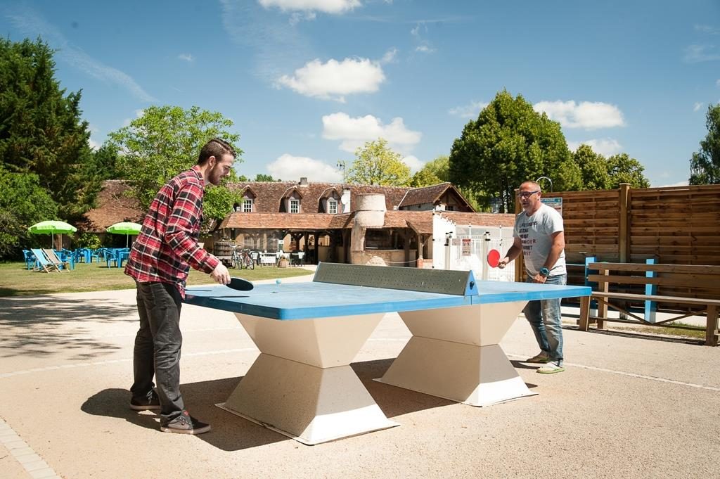 Les Saules Groot-Centrum - Cheverny visuel 5/11