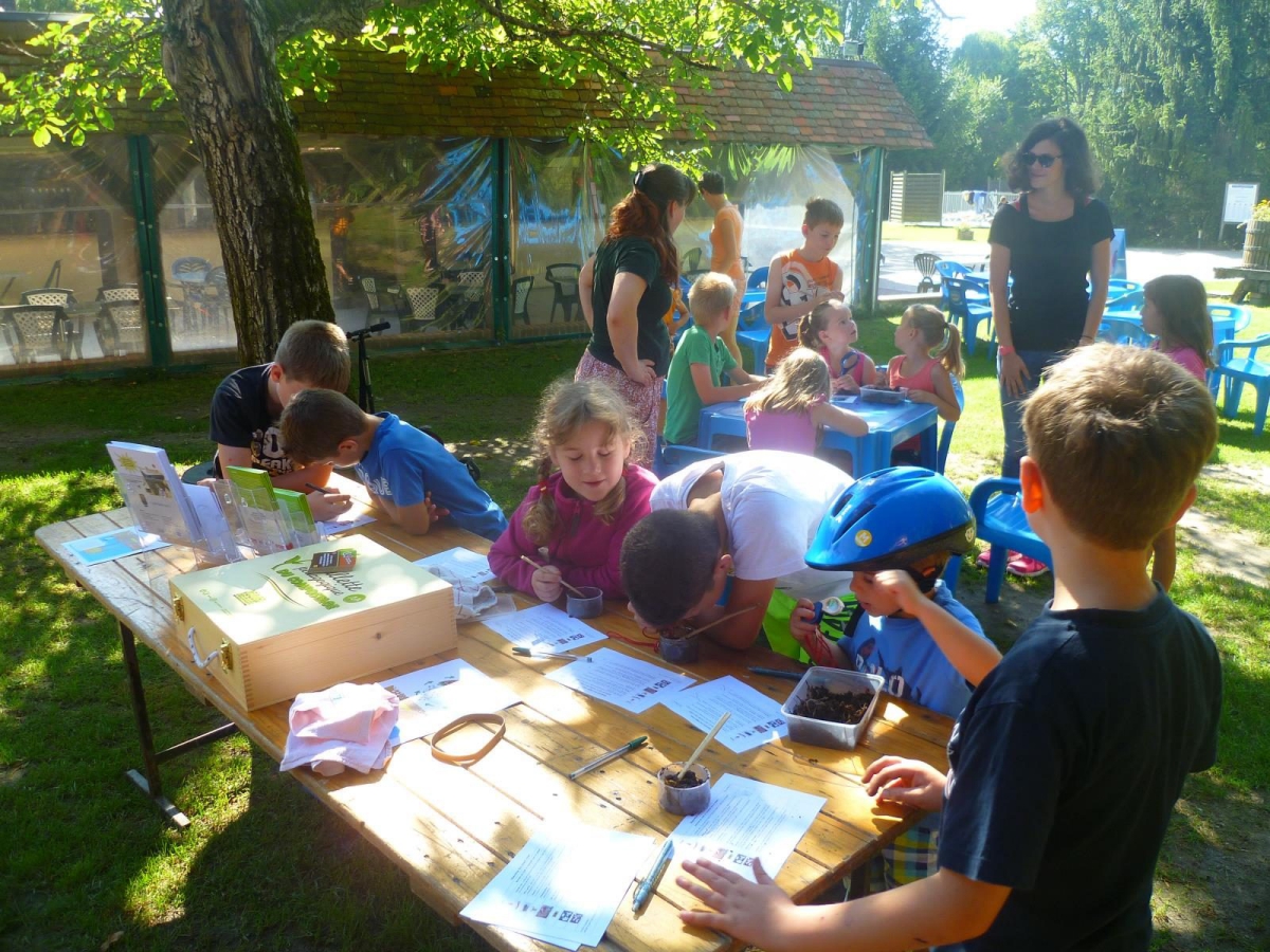 Les Saules Groot-Centrum - Cheverny visuel 7/11