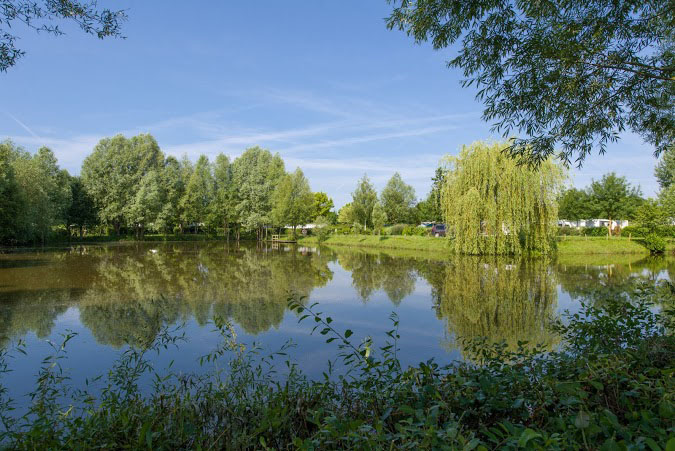 Domaine de l'Etang Pays de Loire - Brissac Quincé visuel 10/11 Domaine de l'Etang Pays de Loire - Brissac Quincé visuel 10/11