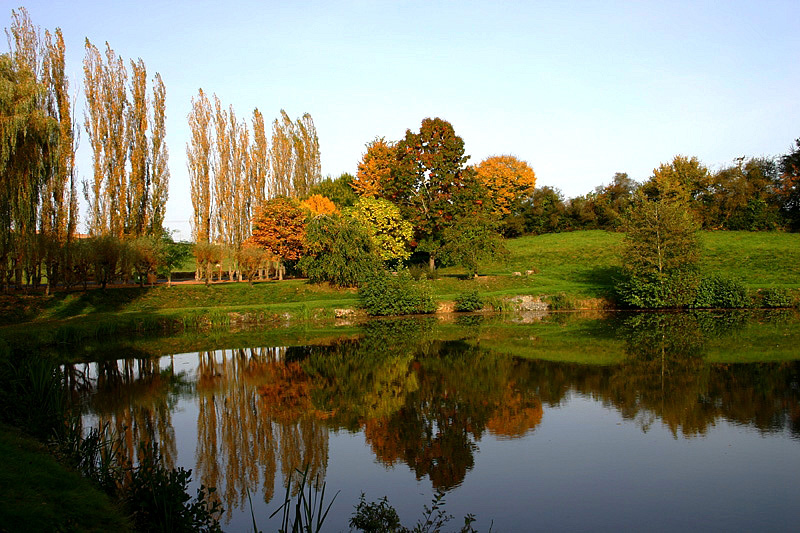 l'Etang Neuf Bourgogne - Issy-l'Évêque visuel 1/9 l'Etang Neuf Bourgogne - Issy-l'Évêque visuel 1/9