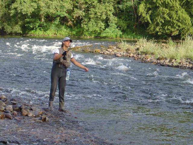 L'europe Limouqin - Monceaux-sur-Dordogne visuel 9/10 L'europe Limouqin - Monceaux-sur-Dordogne visuel 9/10