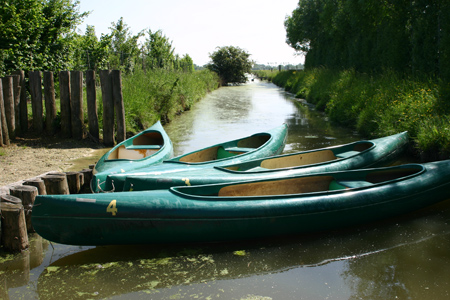 L'Ile Cariot Pays de Loire - Chaillé-les-Marais visuel 2/9 L'Ile Cariot Pays de Loire - Chaillé-les-Marais visuel 2/9