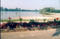 L'ILE DU CHATEAU Pays de Loire - Ponts-de-Cé visuel 6/7 L'ILE DU CHATEAU Pays de Loire - Ponts-de-Cé visuel 6/7