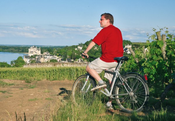 L'Isle Verte Pays de Loire - Montsoreau visuel 22/28 L'Isle Verte Pays de Loire - Montsoreau visuel 22/28