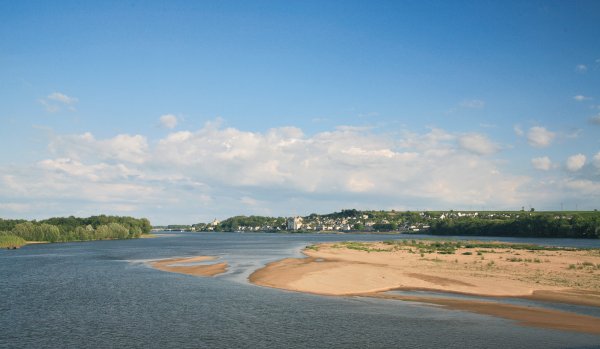 L'Isle Verte Pays de Loire - Montsoreau visuel 24/28 L'Isle Verte Pays de Loire - Montsoreau visuel 24/28