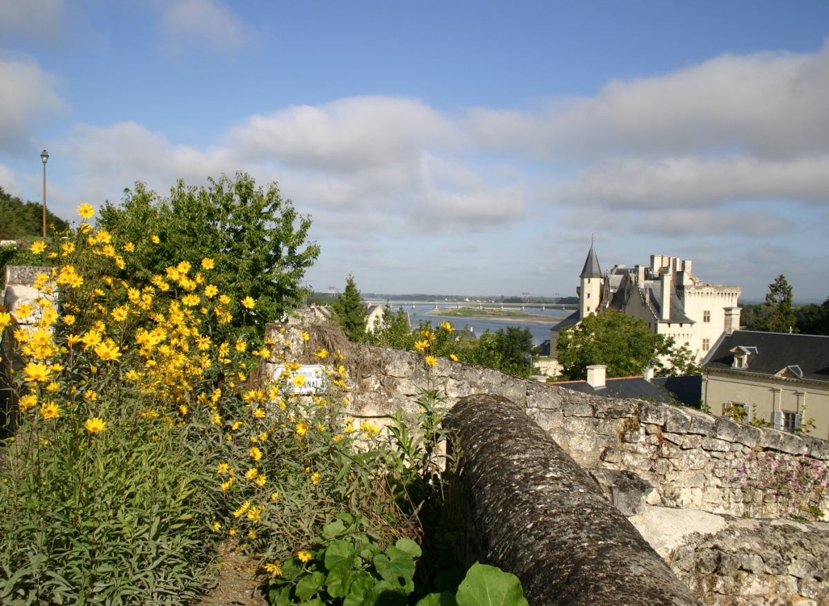 L'Isle Verte Pays de Loire - Montsoreau visuel 28/28 L'Isle Verte Pays de Loire - Montsoreau visuel 28/28