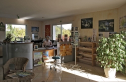 L'Oliveraie Languedoc-Roussillon - Laurens visuel 2/10 L'Oliveraie Languedoc-Roussillon - Laurens visuel 2/10