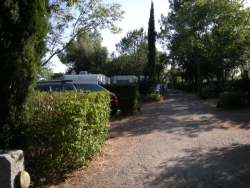 L'Oliveraie Languedoc-Roussillon - Laurens visuel 3/10 L'Oliveraie Languedoc-Roussillon - Laurens visuel 3/10
