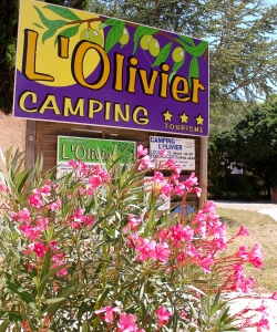 L'olivier Languedoc-Roussillon - Junas visuel 4/11 L'olivier Languedoc-Roussillon - Junas visuel 4/11