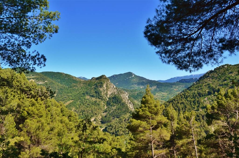 L'Orée de Provence Rhône-Alpes - Buis-les-Baronnies visuel 4/4 L'Orée de Provence Rhône-Alpes - Buis-les-Baronnies visuel 4/4