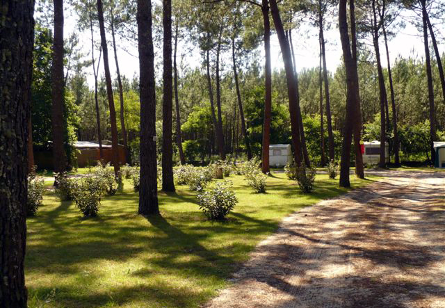 Lou Payou Aquitaine - Lesperon visuel 12/16