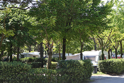 Malibu Beach Venetië - Lido di Jesolo visuel 8/9 Malibu Beach Venetië - Lido di Jesolo visuel 8/9