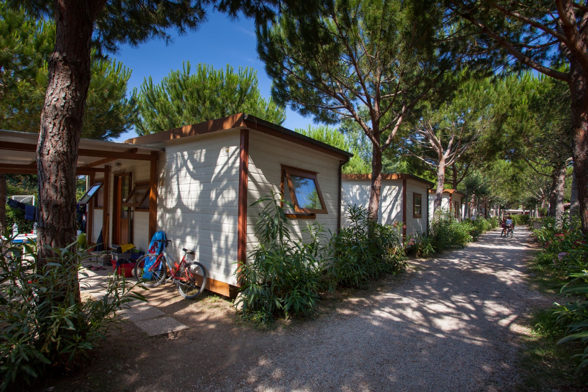 Mareblu Toscane - Cecina visuel 7/8 Mareblu Toscane - Cecina visuel 7/8