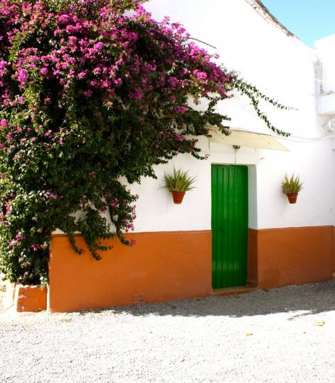 María Eugenia Andalousië - Grenada visuel 2/10