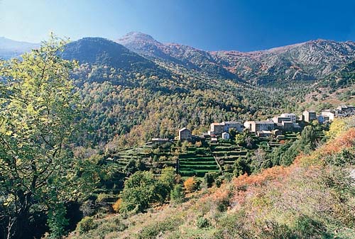 Marina d'Aléria Corsica - Aléria visuel 9/10 Marina d'Aléria Corsica - Aléria visuel 9/10