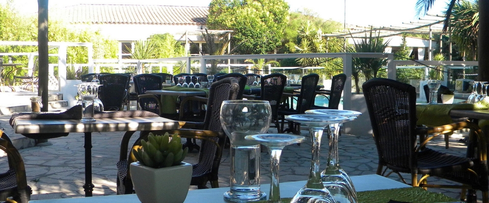 Marin'Palm Languedoc-Roussillon - Vic-la-Gardiole visuel 8/8