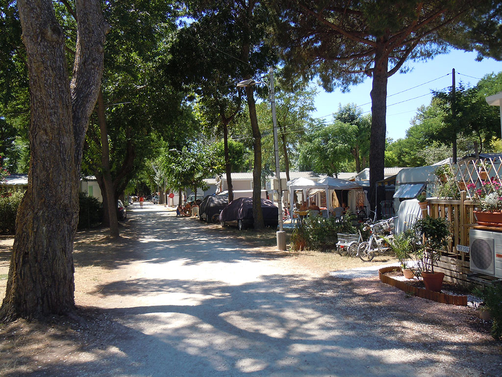 Miramar Camping Provence-Alpes-Côte d'Azur - La Londe-les-Maures visuel 2/2 Miramar Camping Provence-Alpes-Côte d'Azur - La Londe-les-Maures visuel 2/2