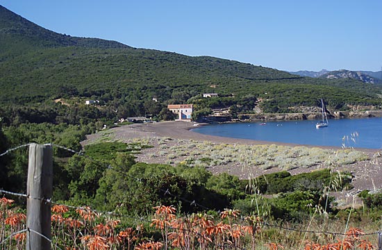 Morsetta Corsica - Calenzana visuel 8/8