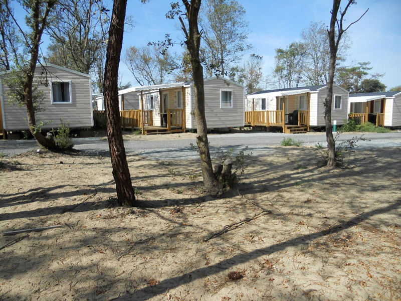 Nature et Océan Aquitaine - Soulac-sur-Mer visuel 6/10 Nature et Océan Aquitaine - Soulac-sur-Mer visuel 6/10