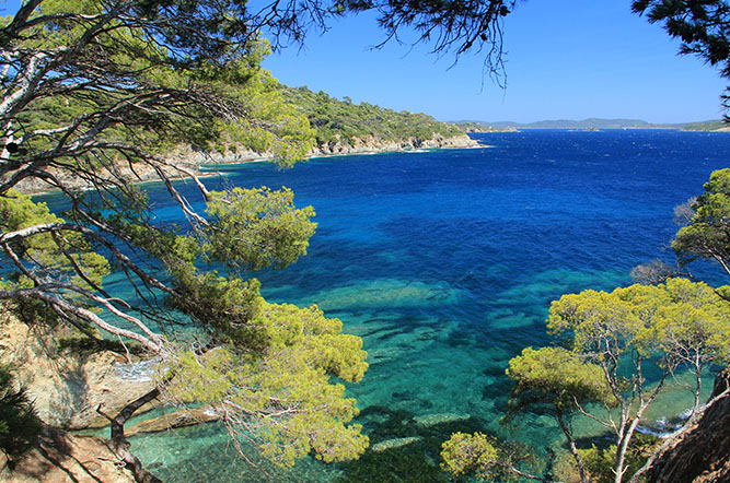 Camping Olbia Provence-Alpes-Côte d'Azur - Hyères visuel 2/10 Camping Olbia Provence-Alpes-Côte d'Azur - Hyères visuel 2/10