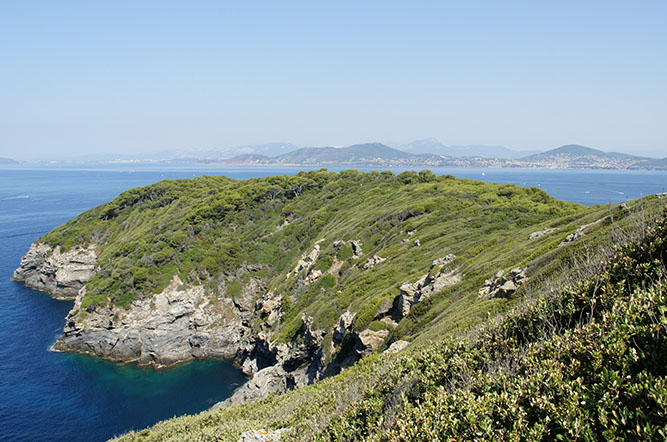 Camping Olbia Provence-Alpes-Côte d'Azur - Hyères visuel 8/10 Camping Olbia Provence-Alpes-Côte d'Azur - Hyères visuel 8/10