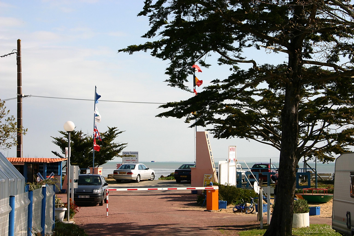 Ostrea Poitou-Charentes - Dolus d'Oléron visuel 6/9 Ostrea Poitou-Charentes - Dolus d'Oléron visuel 6/9